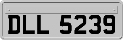 DLL5239