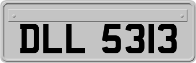 DLL5313