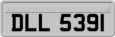 DLL5391