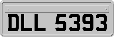 DLL5393