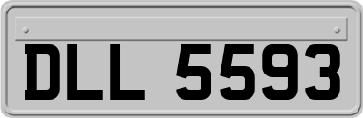 DLL5593