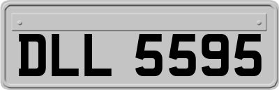 DLL5595