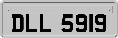 DLL5919