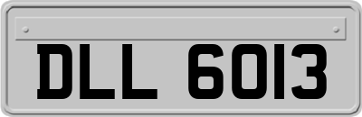 DLL6013