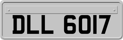 DLL6017