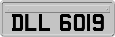 DLL6019