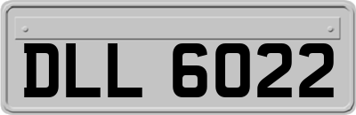 DLL6022