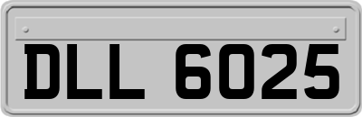 DLL6025