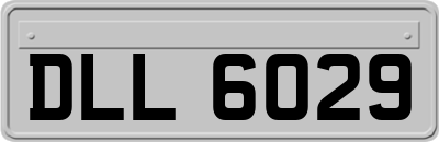 DLL6029