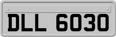 DLL6030