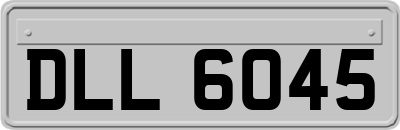DLL6045