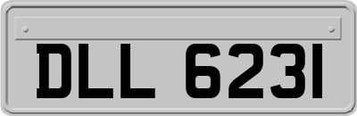 DLL6231