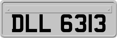 DLL6313
