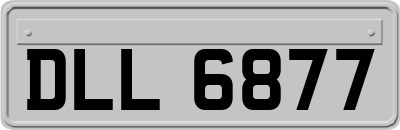 DLL6877
