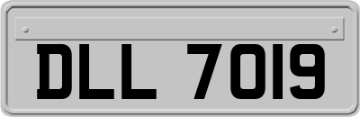DLL7019