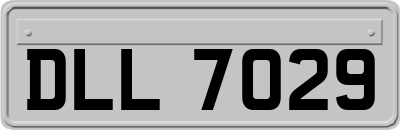 DLL7029