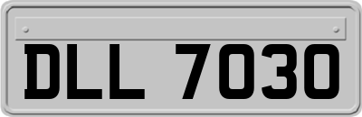 DLL7030