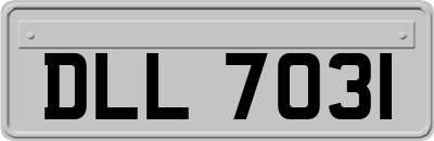 DLL7031