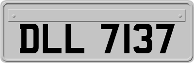 DLL7137