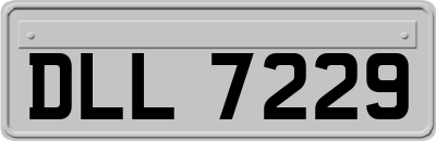 DLL7229
