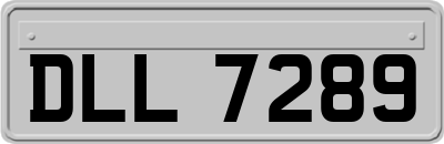 DLL7289