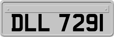 DLL7291