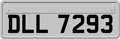 DLL7293