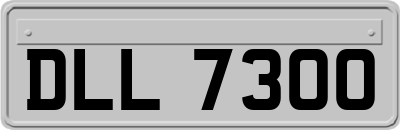 DLL7300
