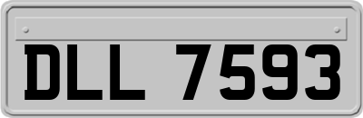 DLL7593