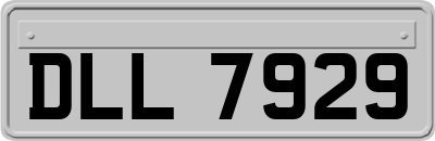 DLL7929