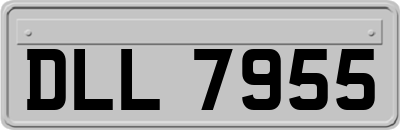 DLL7955