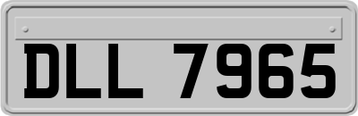DLL7965