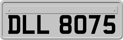 DLL8075