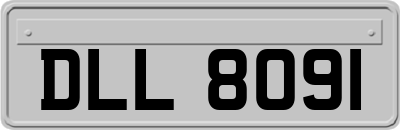 DLL8091