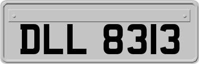 DLL8313