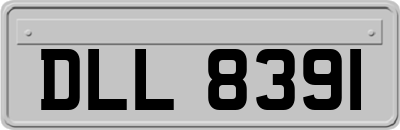 DLL8391