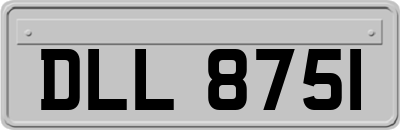 DLL8751