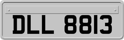 DLL8813