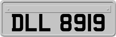 DLL8919