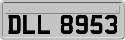 DLL8953