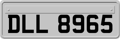 DLL8965