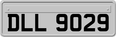 DLL9029
