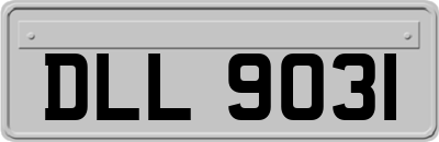 DLL9031