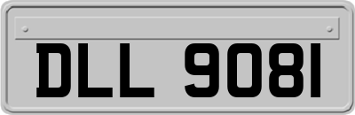 DLL9081
