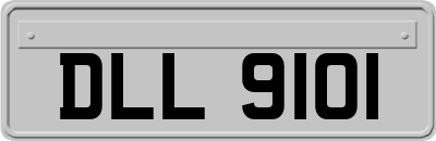DLL9101