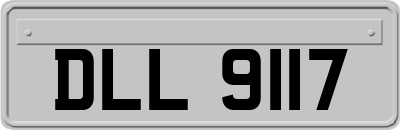 DLL9117