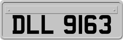 DLL9163