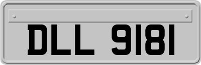 DLL9181