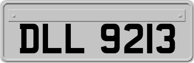 DLL9213