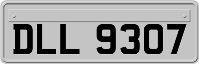 DLL9307